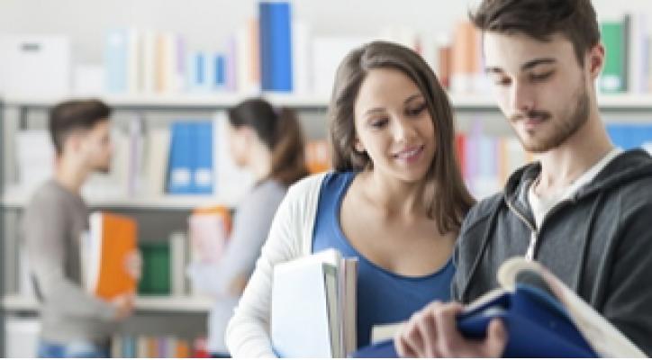 Entrevista de orientación académica y profesional