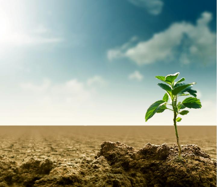 Consumo responsable y energías renovables