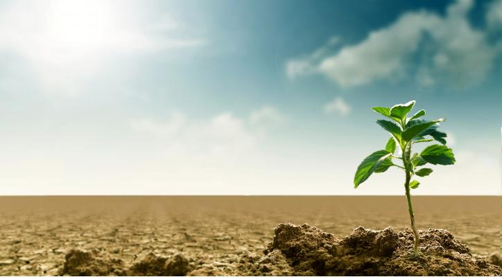 Consumo responsable y energías renovables