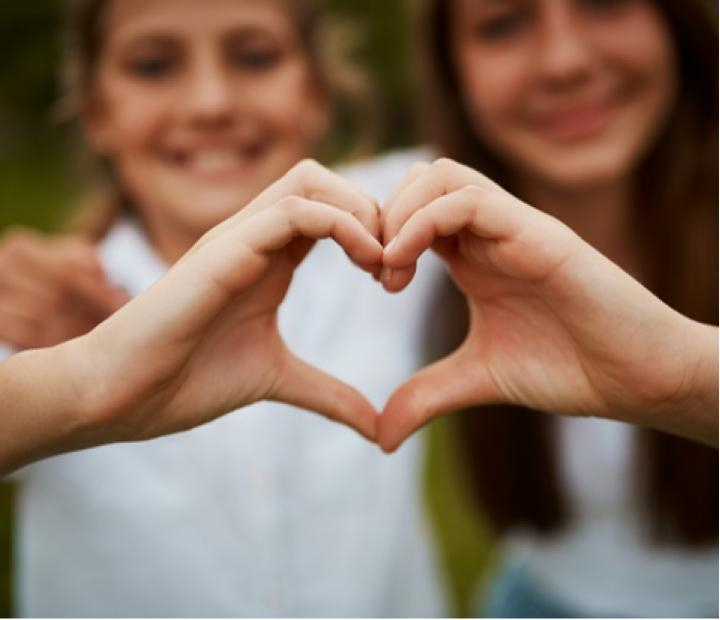 Curso Online. Coordinador del bienestar 