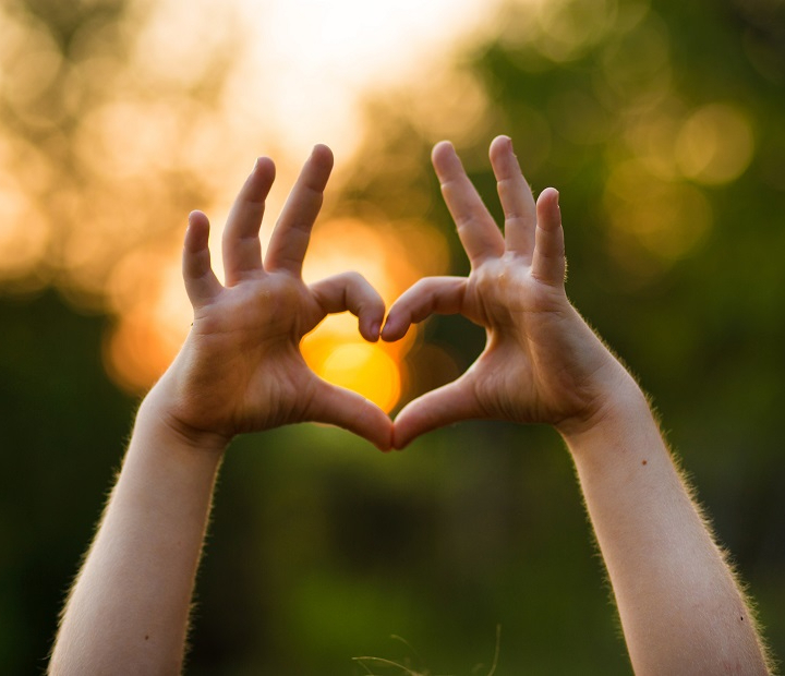 Curso Online. Cómo detectar y acompañar conductas disruptivas en el aula 